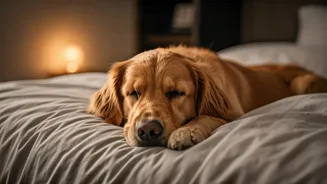 Related Stories banner