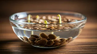 Seed Soaking Secrets: Unlock Germination Potential for Your Garden