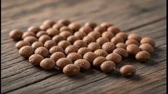Horse Gram Could Help Indian Home Cooks Add Protein-Rich Variety to Everyday Meals, but Evidence Still Matters