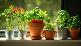 Indian Homes Are Trying Monsoon Kitchen Gardening