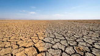 A Drier September Could Test India's Farms: What It Means For Crops, Markets And Consumers