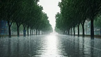 Delhi-NCR Readers Should Plan Around Showers Now