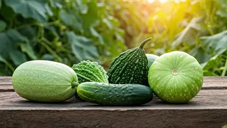 Cultivate Your Own Oasis: 5 Easy Summer Vegetables for Indian Home Gardens