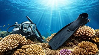 Keerthy Suresh: A Year of Film, Family, & Fun!