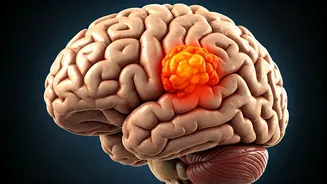 Brain Tumours: A Journey Through Care & Discovery