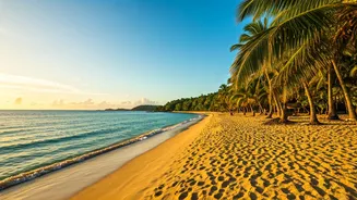 Near-Empty Beaches Are The New Goa Luxury