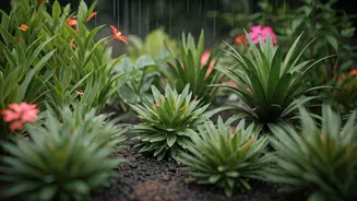 Terrace Gardens Get Their Best Growth Window Now
