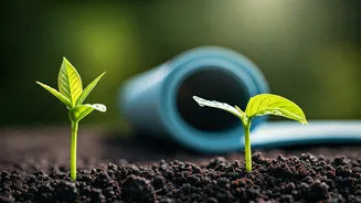 Environment Day And Yoga Day Own June Conversations
