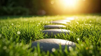 Barefoot Bliss: 6 Unexpected Health Perks