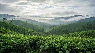 Weekend Getaway During Heavy Rains? Simple Travel Hacks Can Save Your Trip