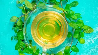 Create flavourful zero waste herb oil infusions using leftover mint coriander stems