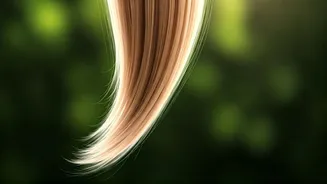 Trimming Secrets: How Often to Cut Hair for Optimal Growth and Health