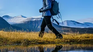 Jogging Is Easier To Standardise, Hiking Is More Dependent On Terrain: What The Evidence Supports