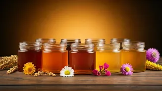 A Golden Guide: Exploring 8 Distinct Honey Varieties and Their Unique Charms