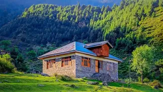 Why Off Season Travellers Are Choosing Coorg Coffee Estate Homestays For Monsoon Wellness Escapes
