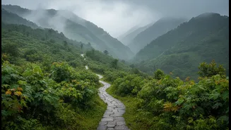 Why Rainy Season Travellers Are Choosing Slow Travel Across India's Hills
