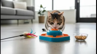 Apartment Pets Need Variety Across Smell, Movement And Problem-Solving