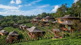 Book Budget Coffee Estate Stays While Availability Remains Strong