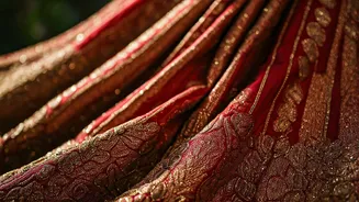 Bollywood's Beauty: Ethnic Elegance & Style Evolution