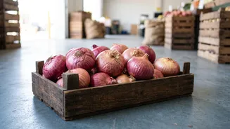 Onion Traders See Further Karnataka Price Rises Before Fresh Supplies Arrive