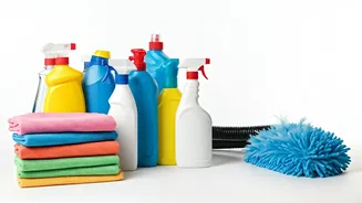 Easy Tips to Keep Your Indian Home Dust-Free