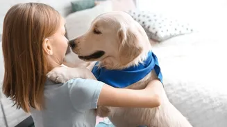 Adoção responsável de pets fortalece vínculos e a saúde mental