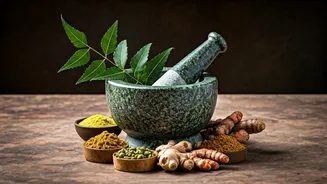 Related Stories banner