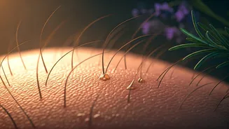 Revitalize Your Scalp: Natural Home Remedies for Female Alopecia Areata Bald Spots