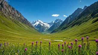 Kashmir's Unseen Wonders: 10 Secret Valleys to Explore