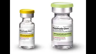 Alerta da Anvisa: medicamentos para câncer falsificados circulam no país