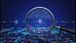 Can AI Image Detectors improve online verification, newsroom trust and social-media judgement without automated certainty?