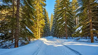 Winter Fitness: 6 Ways to Stay Active and Thrive