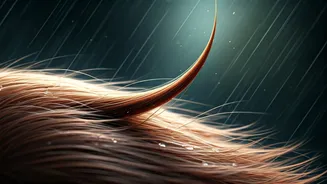 Monsoon Hair Fall Real: Daily Shedding Jumps To 200