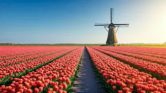 Explore the Enchanting Dutch Countryside: Top Cycling Routes Unveiled