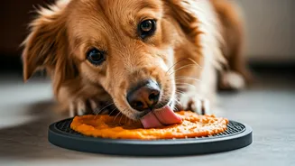Why Frozen Pumpkin Puree Lick Mats Calm Bored Canines