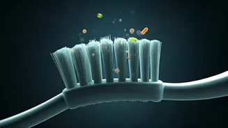 Your Toothbrush Is Home To Hidden Microbes.
