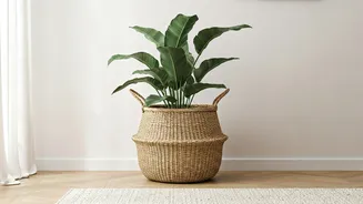 Seagrass Basket Planter Covers Give Minimalist Homes Ultimate Boho Upgrades