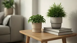 Room Makeovers Need More Plants, Less Clutter