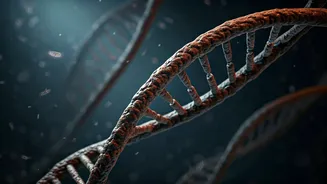 5,500 Years Later, DNA Tells A Disease Story
