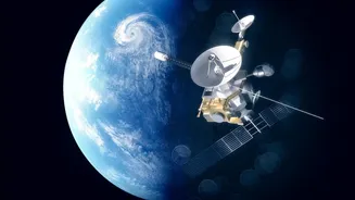 Satellite Technology Measures Blue Carbon Sequestration Gains In Restored Sundarbans Forests
