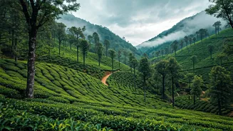 Monsoon Honeymoon Special: Top Romantic Hill Destinations In India