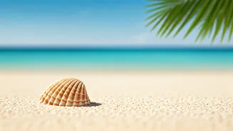 Plan Perfect Malaysian Summer Beach Breaks Utilizing Instant Approvals