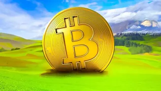 Why physical gold coins require bank locker costs while digital gold vaults offer free initial storage