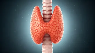 10 Habits Quietly Harming Your Thyroid: Expert Insights