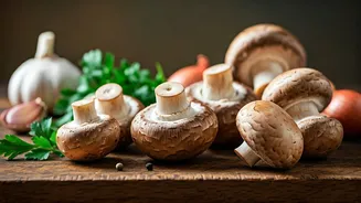 Mushrooms Are Culinary Gems For Your Table