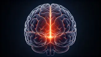 Unlocking Your Mind: AI for Better Sleep & Health