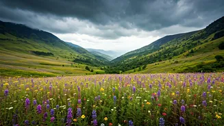 Nature Enthusiasts Shouldn't Miss This Season