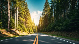 Open Roads Bring Adventure Back To Mountain Trips