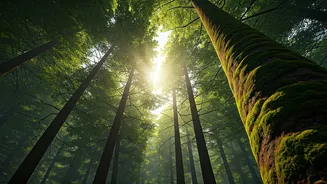 Short-Haul Nature Trips Are Perfect For Burnout