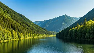 Related Stories banner